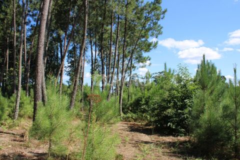 Helårsgrund i Mangualde, Viseu, Mangualde - € 26.000 | Ref: ZMPT569399 - foto 9