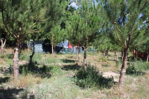 Helårsgrund i Mangualde, Viseu, Mangualde - € 26.000 | Ref: ZMPT569399 - foto 17