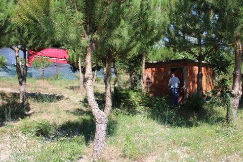 Helårsgrund i Mangualde, Viseu, Mangualde - € 26.000 | Ref: ZMPT569399 - foto 19
