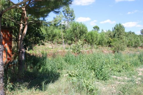 Helårsgrund i Mangualde, Viseu, Mangualde - € 26.000 | Ref: ZMPT569399 - foto 22