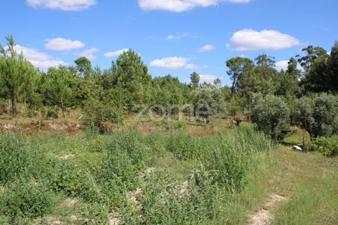 Helårsgrund i Mangualde, Viseu, Mangualde - € 26.000 | Ref: ZMPT569399 - foto 23