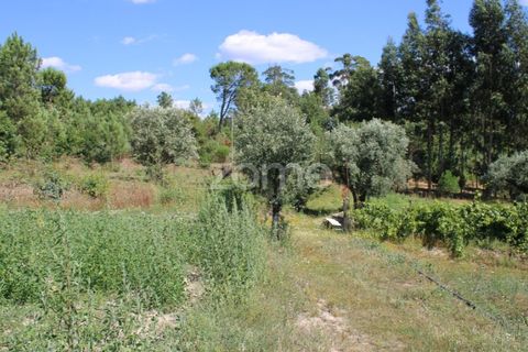 Helårsgrund i Mangualde, Viseu, Mangualde - € 26.000 | Ref: ZMPT569399 - foto 24