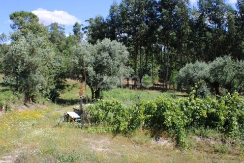 Helårsgrund i Mangualde, Viseu, Mangualde - € 26.000 | Ref: ZMPT569399 - foto 25