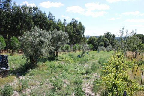 Helårsgrund i Mangualde, Viseu, Mangualde - € 26.000 | Ref: ZMPT569399 - foto 26