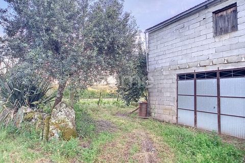 Helårsgrund i Penalva do Castelo, Viseu, Penalva do Castelo - € 25.000 | Ref: ZMPT567175 - foto 14