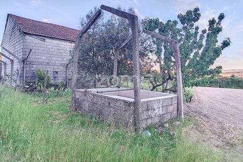 Helårsgrund i Penalva do Castelo, Viseu, Penalva do Castelo - € 25.000 | Ref: ZMPT567175 - foto 1