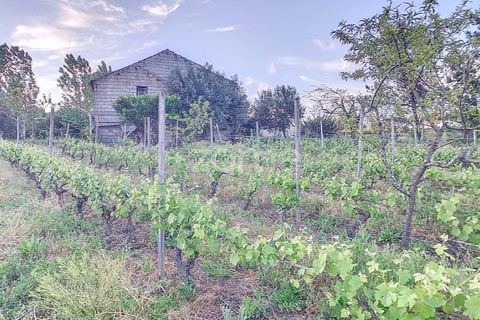 Helårsgrund i Penalva do Castelo, Viseu, Penalva do Castelo - € 25.000 | Ref: ZMPT567175 - foto 5