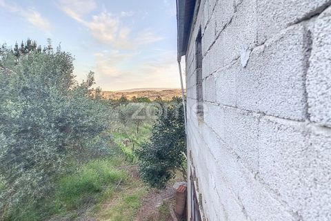 Helårsgrund i Penalva do Castelo, Viseu, Penalva do Castelo - € 25.000 | Ref: ZMPT567175 - foto 6
