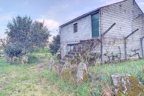 Helårsgrund i Penalva do Castelo, Viseu, Penalva do Castelo - € 25.000 | Ref: ZMPT567175 - foto 12