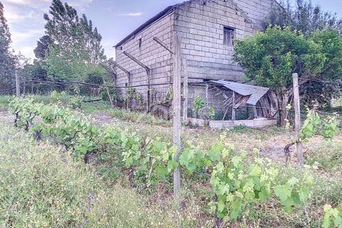 Helårsgrund i Penalva do Castelo, Viseu, Penalva do Castelo - € 25.000 | Ref: ZMPT567175 - foto 13