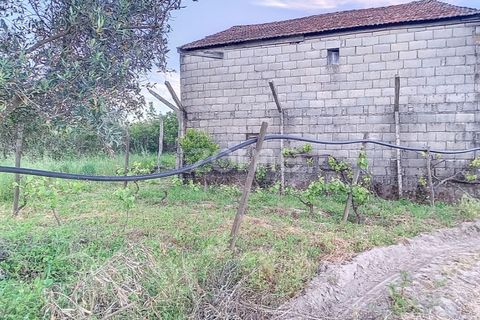 Helårsgrund i Penalva do Castelo, Viseu, Penalva do Castelo - € 25.000 | Ref: ZMPT567175 - foto 15