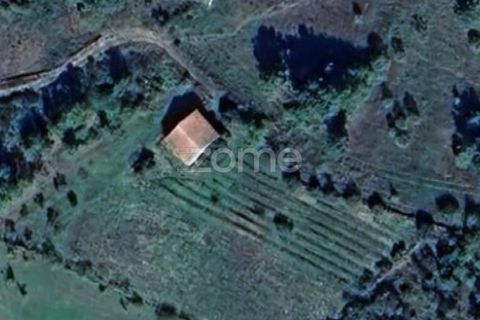 Helårsgrund i Penalva do Castelo, Viseu, Penalva do Castelo - € 25.000 | Ref: ZMPT567175 - foto 16