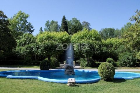 Helårsgrund i Anadia, Aveiro, Anadia - € 90.000 | Ref: ZMPT552913 - foto 16