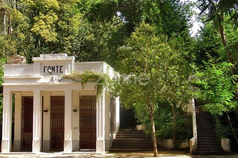 Helårsgrund i Anadia, Aveiro, Anadia - € 90.000 | Ref: ZMPT552913 - foto 17