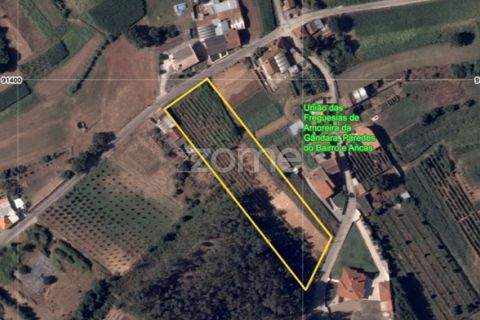 Helårsgrund i Anadia, Aveiro, Anadia - € 90.000 | Ref: ZMPT552913 - foto 2