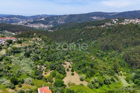 Helårsgrund i Coimbra, Coimbra, Coimbra - € 35.000 | Ref: ZMPT568409 - foto 4