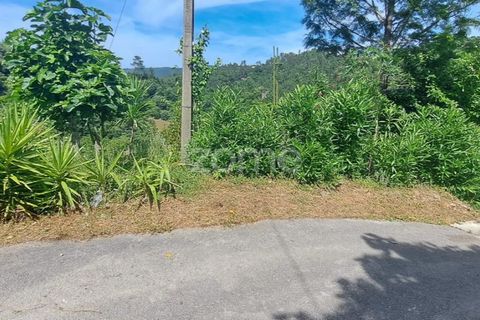 Helårsgrund i Coimbra, Coimbra, Coimbra - € 35.000 | Ref: ZMPT568409 - foto 2