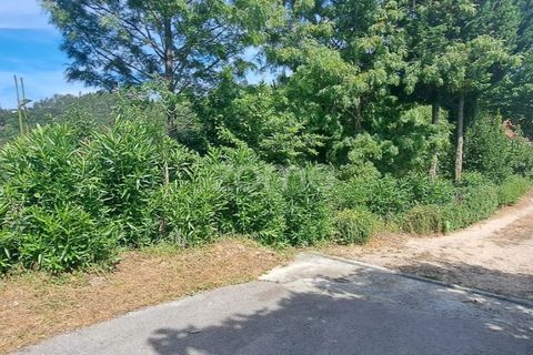 Helårsgrund i Coimbra, Coimbra, Coimbra - € 35.000 | Ref: ZMPT568409 - foto 3