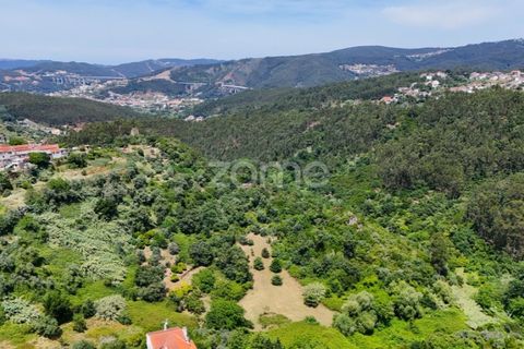 Helårsgrund i Coimbra, Coimbra, Coimbra - € 35.000 | Ref: ZMPT568409 - foto 5
