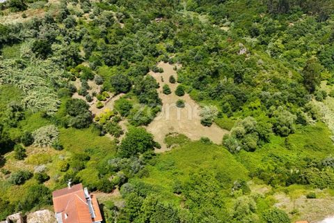Helårsgrund i Coimbra, Coimbra, Coimbra - € 35.000 | Ref: ZMPT568409 - foto 6