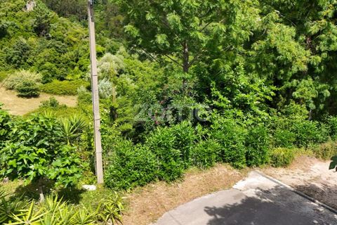 Helårsgrund i Coimbra, Coimbra, Coimbra - € 35.000 | Ref: ZMPT568409 - foto 10