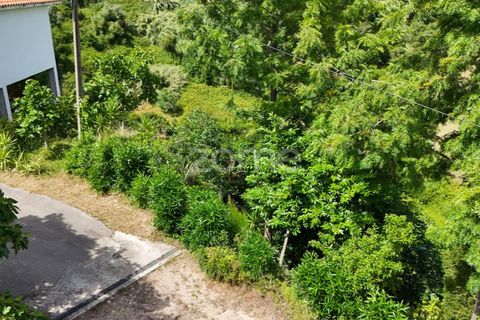 Helårsgrund i Coimbra, Coimbra, Coimbra - € 35.000 | Ref: ZMPT568409 - foto 11