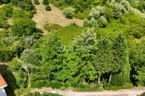 Helårsgrund i Coimbra, Coimbra, Coimbra - € 35.000 | Ref: ZMPT568409 - foto 12