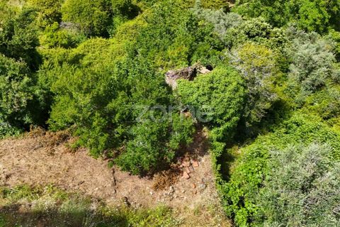 Helårsgrund i Coimbra, Coimbra, Coimbra - € 35.000 | Ref: ZMPT568409 - foto 13