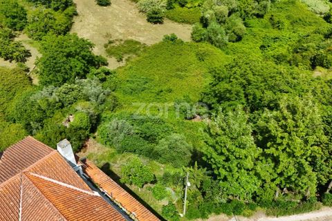 Helårsgrund i Coimbra, Coimbra, Coimbra - € 35.000 | Ref: ZMPT568409 - foto 14