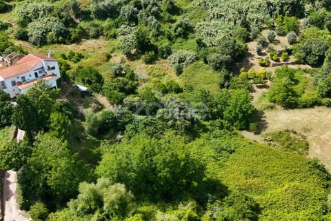 Helårsgrund i Coimbra, Coimbra, Coimbra - € 35.000 | Ref: ZMPT568409 - foto 18