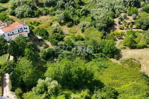 Helårsgrund i Coimbra, Coimbra, Coimbra - € 35.000 | Ref: ZMPT568409 - foto 19