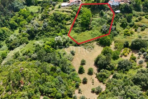 Helårsgrund i Coimbra, Coimbra, Coimbra - € 35.000 | Ref: ZMPT568409 - foto 20