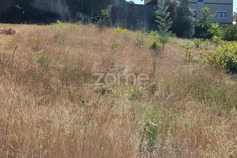 Terra a Luso, Aveiro, Luso - € 34.000 | Ref: ZMPT570656 - foto 8
