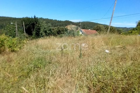 Terra a Luso, Aveiro, Luso - € 34.000 | Ref: ZMPT570656 - foto 2