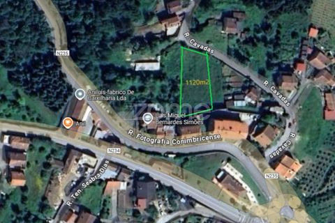 Terra a Luso, Aveiro, Luso - € 34.000 | Ref: ZMPT570656 - foto 3