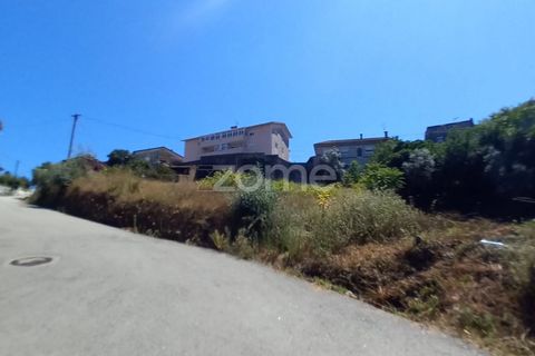 Terra a Luso, Aveiro, Luso - € 34.000 | Ref: ZMPT570656 - foto 5