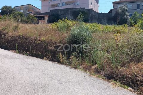 Terra a Luso, Aveiro, Luso - € 34.000 | Ref: ZMPT570656 - foto 6