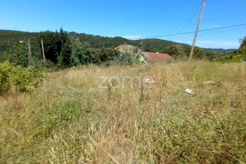 Terra a Luso, Aveiro, Luso - € 34.000 | Ref: ZMPT570656 - foto 11