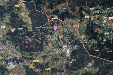 Terra a Luso, Aveiro, Luso - € 34.000 | Ref: ZMPT570656 - foto 13