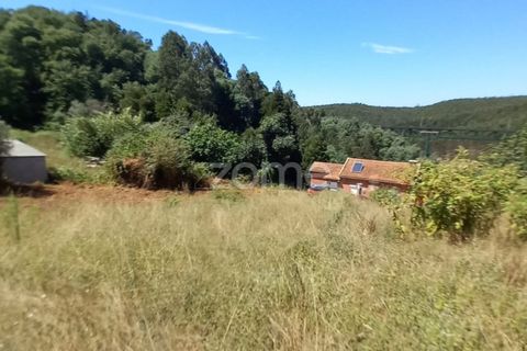 Terra a Luso, Aveiro, Luso - € 34.000 | Ref: ZMPT570656 - foto 15