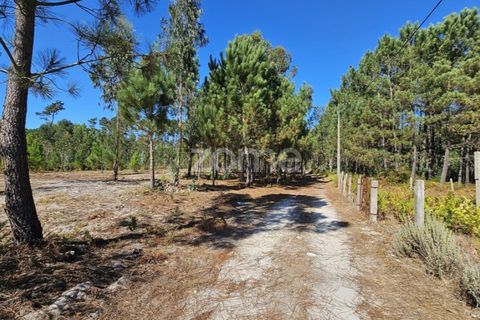 Helårsgrund i Cantanhede, Coimbra, Cantanhede - € 65.000 | Ref: ZMPT571740 - foto 20