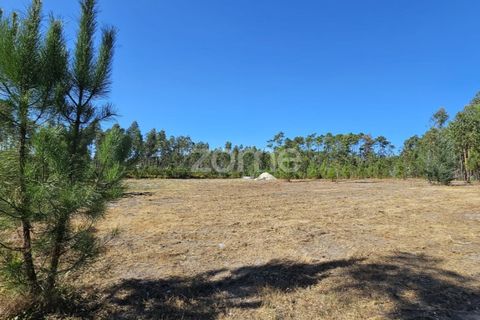 Helårsgrund i Cantanhede, Coimbra, Cantanhede - € 65.000 | Ref: ZMPT571740 - foto 1