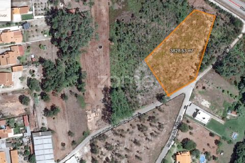 Helårsgrund i Cantanhede, Coimbra, Cantanhede - € 65.000 | Ref: ZMPT571740 - foto 3