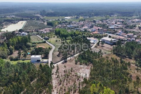 Helårsgrund i Cantanhede, Coimbra, Cantanhede - € 65.000 | Ref: ZMPT571740 - foto 4