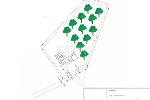 Helårsgrund i Cantanhede, Coimbra, Cantanhede - € 65.000 | Ref: ZMPT571740 - foto 5