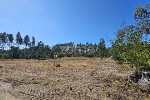 Helårsgrund i Cantanhede, Coimbra, Cantanhede - € 65.000 | Ref: ZMPT571740 - foto 7