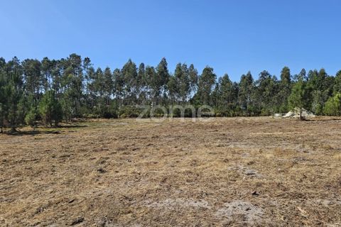 Helårsgrund i Cantanhede, Coimbra, Cantanhede - € 65.000 | Ref: ZMPT571740 - foto 8
