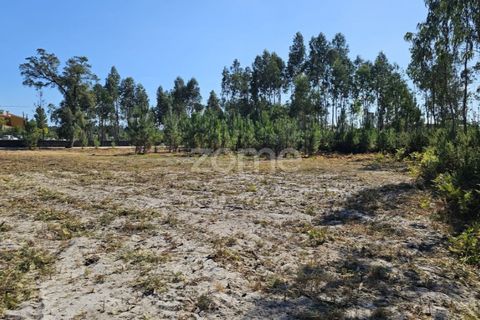 Helårsgrund i Cantanhede, Coimbra, Cantanhede - € 65.000 | Ref: ZMPT571740 - foto 9