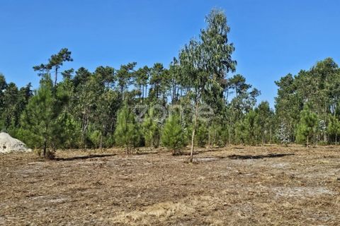 Helårsgrund i Cantanhede, Coimbra, Cantanhede - € 65.000 | Ref: ZMPT571740 - foto 10