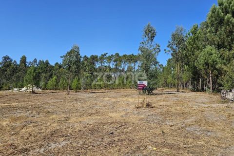 Helårsgrund i Cantanhede, Coimbra, Cantanhede - € 65.000 | Ref: ZMPT571740 - foto 11